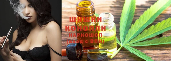 шишки Наволоки