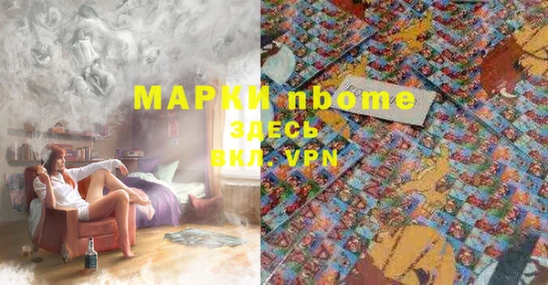 стаф Михайловск