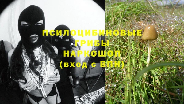 шишки Наволоки