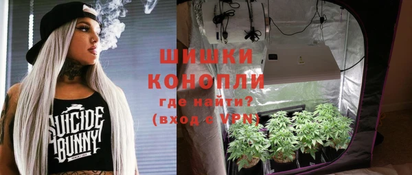шишки Наволоки