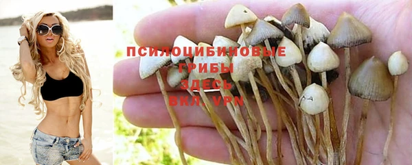 каннабис Надым