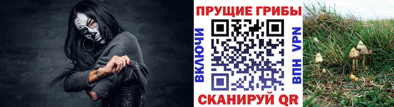 Псилоцибиновые грибы Psilocybine cubensis  гидра сайт  Лянтор  где можно купить  